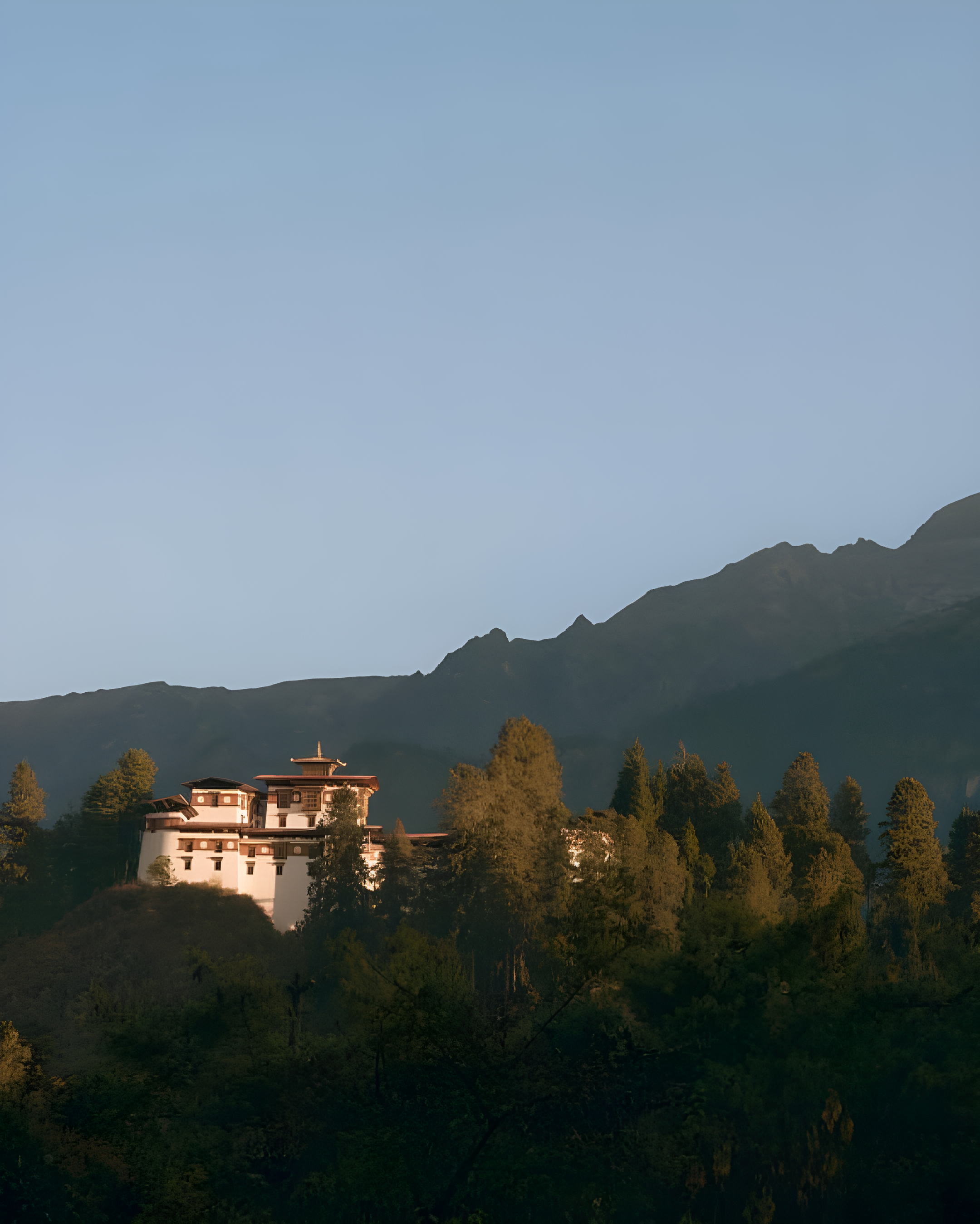 Alpine forests in Bhutan