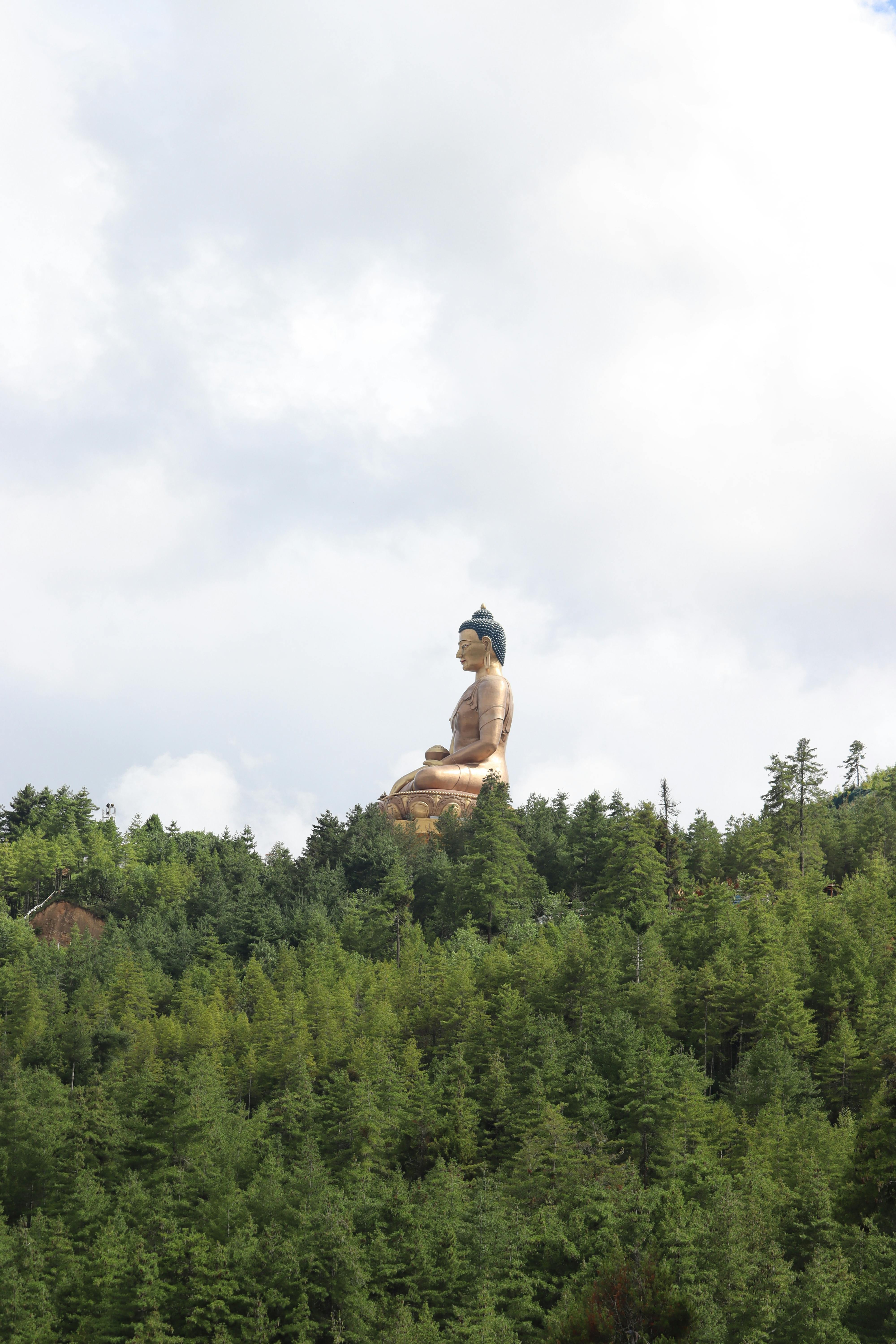 Traditional farming in Bhutan